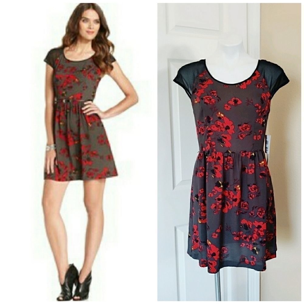 Kensie sheer sleeves floral zip back dress sz M